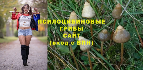 молекула духа Струнино