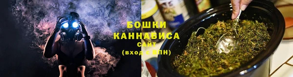 молекула духа Струнино